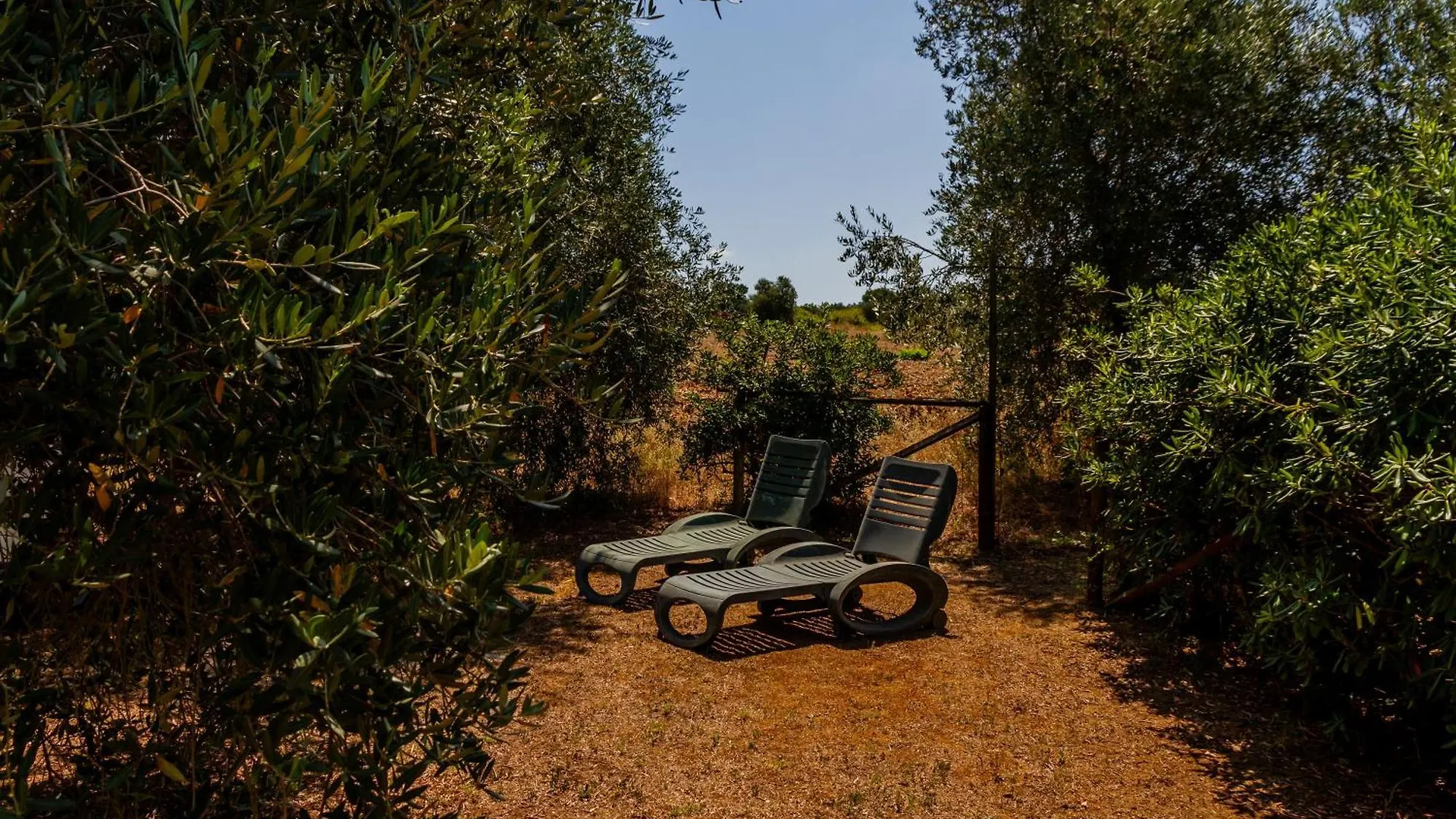 Agriturismo Il Forasacco Grosseto 0*,