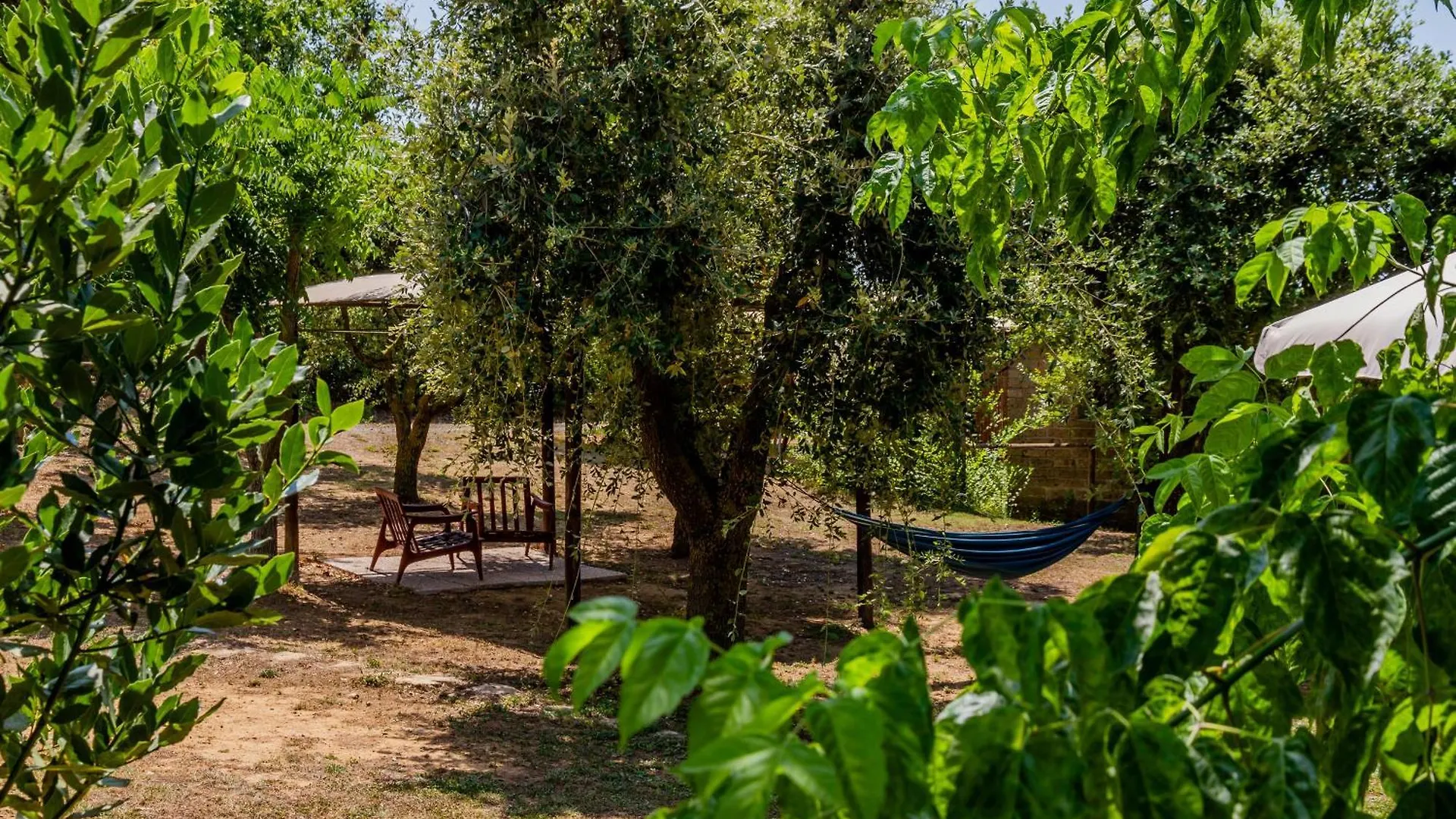 Agriturismo Il Forasacco Grosseto