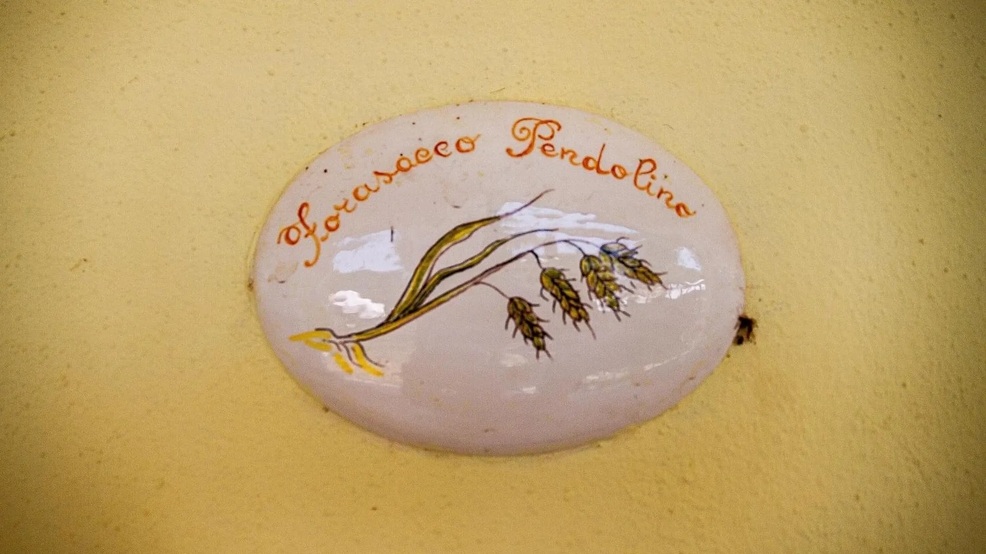 Farm stay Agriturismo Il Forasacco Grosseto